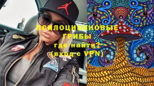 сатива Заволжье