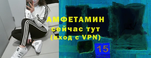 сатива Заволжье