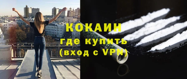 сатива Заволжье