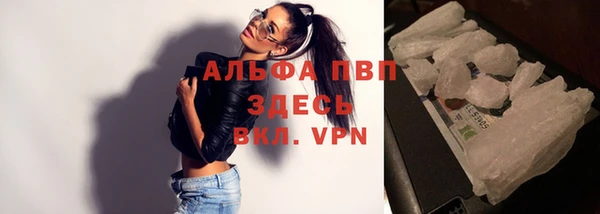 сатива Заволжье