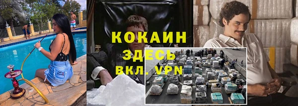 сатива Заволжье