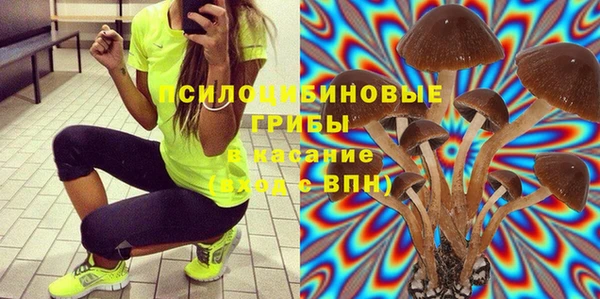 сатива Заволжье